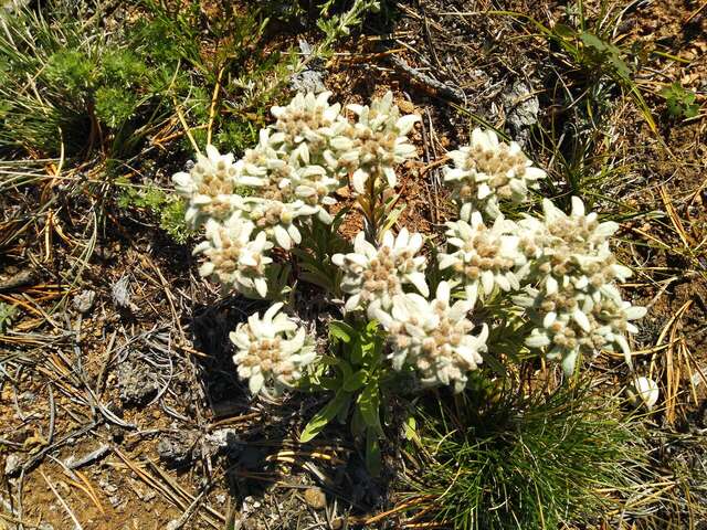Гостевой дом Уюга Байкальск-26