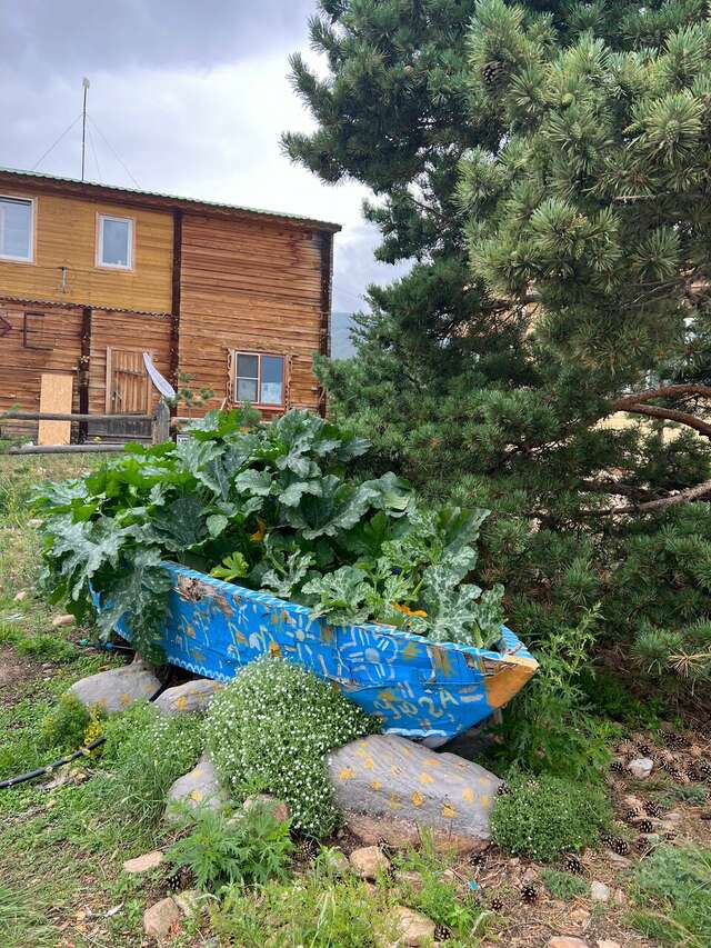 Гостевой дом Уюга Байкальск-121