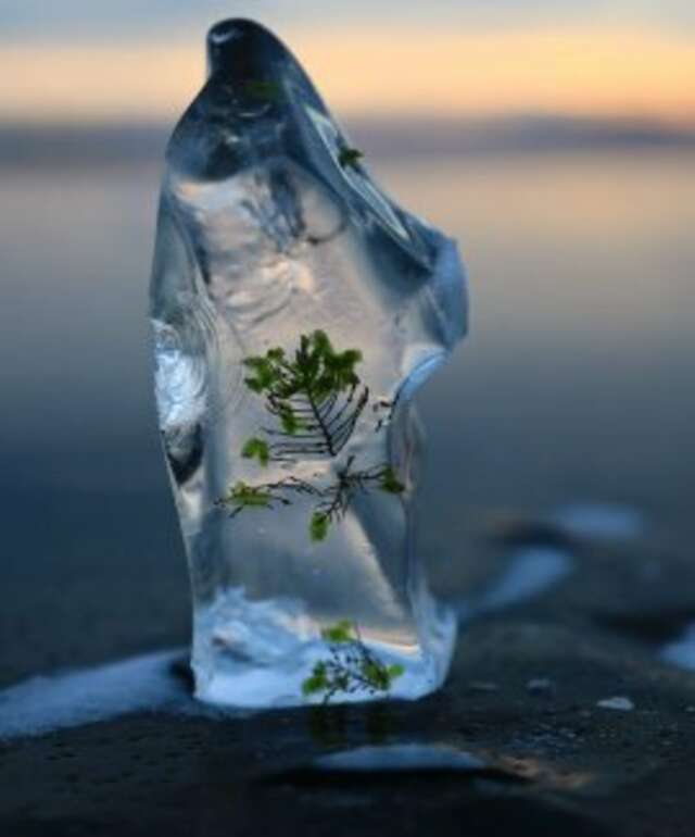 Гостевой дом Уюга Байкальск-14